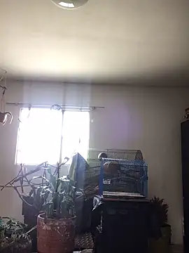 Miss oliviaa online show from 10-22-25, 02:05