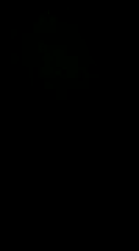 Snapshot of pelarrico12 chatting on 01-01-25, 05:01 pelarrico12 online show from 01-01-25, 05:01