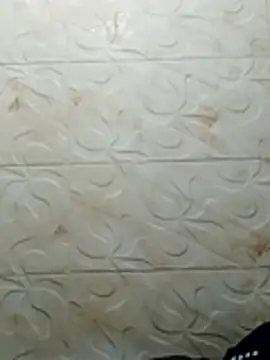 luchoarr online show from 11-02-25, 03:33