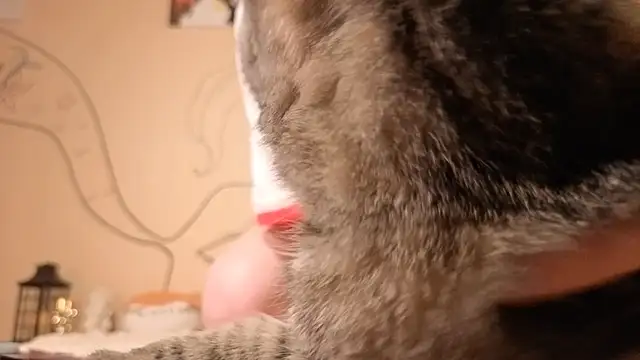 such juicee online show from 04-05-26, 07:20