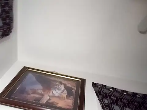 gemini12838 online show from 01-13-25, 02:39