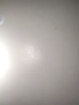 TickleMeKink online show from 10-14-25, 08:59