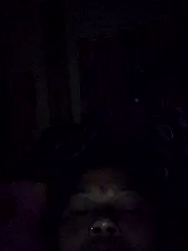 Bangarupapa online show from 02-26-26, 12:32