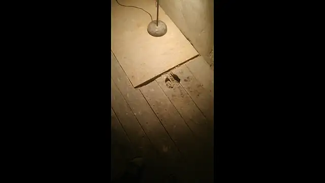 Bdsmslavebi online show from 03-23-26, 02:33