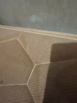 Chneor28 online show from 02-11-26, 10:53