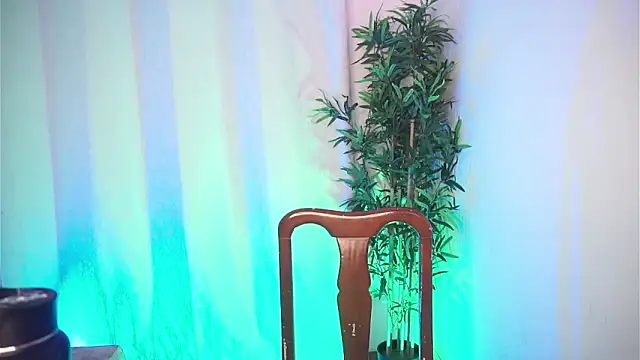 dam0n fr0st online show from 02-04-26, 08:48