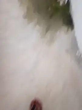 Snapshot of nick05inch chatting on 09-19-25, 12:53 nick05inch online show from 09-19-25, 12:53