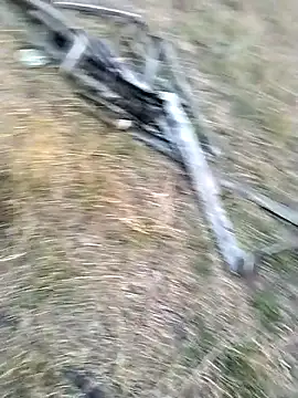 jellydicks online show from 03-29-26, 12:51