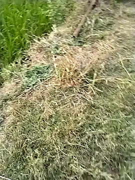 jellydicks online show from 02-28-26, 11:54