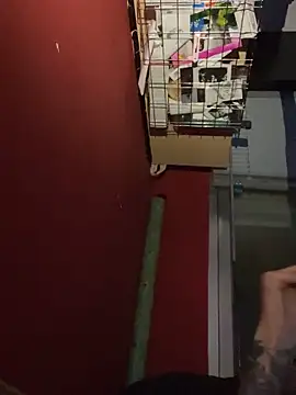 Snapshot of chavito2223 chatting on 02-10-26, 04:11 chavito2223 online show from 02-10-26, 04:11