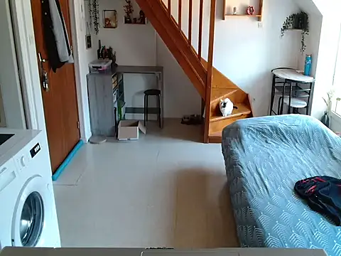 Lauzo21 online show from 03-27-26, 06:33