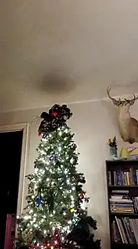 dncroys88 online show from 01-09-25, 05:02