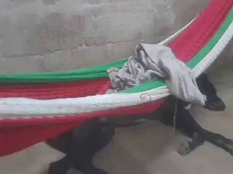 tripexnte online show from 02-16-25, 11:28