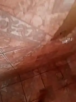 moder066 online show from 01-29-25, 12:24