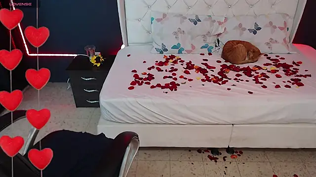 Danielle-Smithh online show from 02-15-25, 08:11