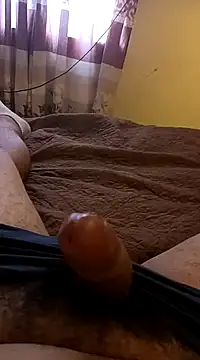 pedritolobito online show from 01-31-25, 01:45