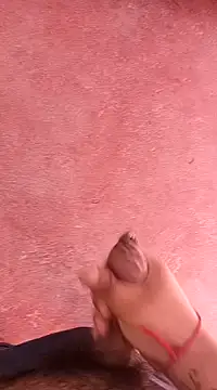 pedritolobito online show from 01-15-25, 01:41