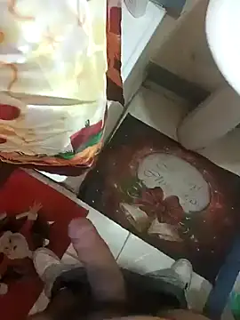 pedritolobito online show from 12-26-24, 04:25