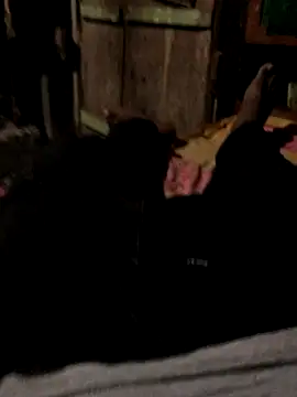 GapingConker online show from 10-31-25, 11:40