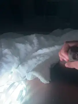 mallllll273838ko online show from 12-16-24, 11:18