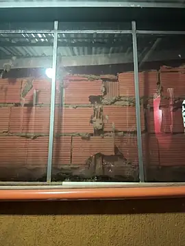 Anily Lovely online show from 02-23-26, 12:34