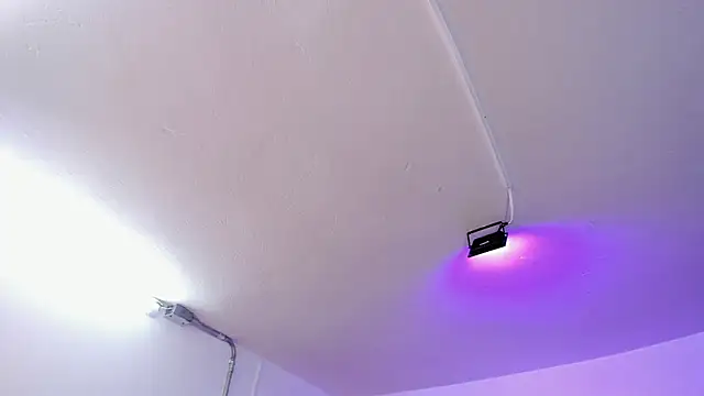 Snapshot of Amy_Kiitty_ chatting on 02-15-26, 12:59 Amy Kiitty online show from 02-15-26, 12:59