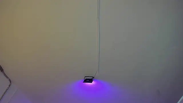 Snapshot of Amy_Kiitty_ chatting on 02-27-26, 01:00 Amy Kiitty online show from 02-27-26, 01:00