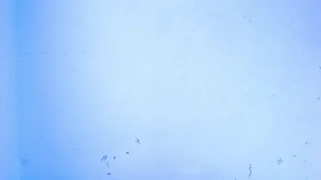 April sexycurvi online show from 09-18-25, 07:55