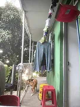 Jestebanano online show from 04-14-26, 12:54