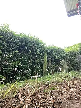 Jestebanano online show from 11-29-25, 03:12