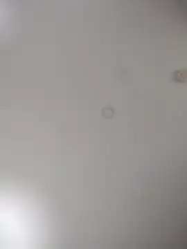 geilerschwanz64 online show from 10-24-25, 07:07