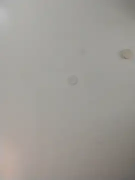 geilerschwanz64 online show from 11-13-25, 10:02