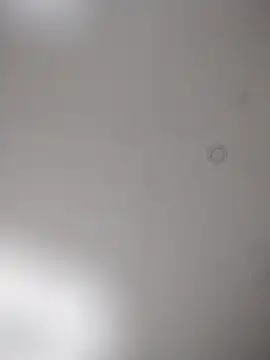 geilerschwanz64 online show from 10-25-25, 08:20