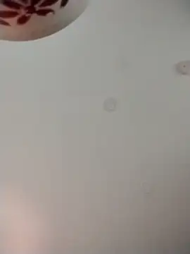 geilerschwanz64 online show from 11-09-25, 01:53