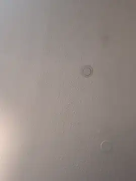 Snapshot of geilerschwanz64 chatting on 03-18-25, 03:55 geilerschwanz64 online show from 03-18-25, 03:55