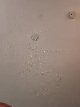 Snapshot of geilerschwanz64 chatting on 03-20-25, 03:36 geilerschwanz64 online show from 03-20-25, 03:36