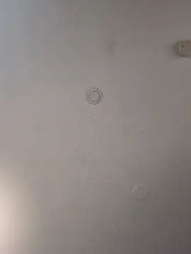 Snapshot of geilerschwanz64 chatting on 02-19-25, 07:05 geilerschwanz64 online show from 02-19-25, 07:05