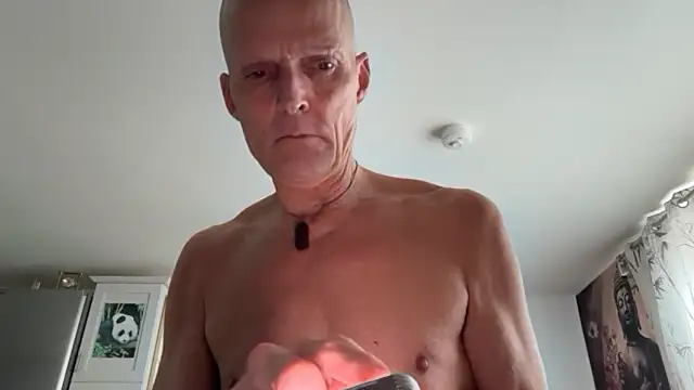 TowaFreespirit online show from 04-14-26, 04:34