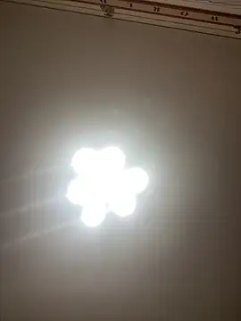 Janet Welder online show from 05-10-26, 03:47