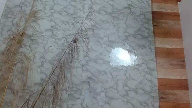 allysonn fox online show from 02-06-25, 10:53