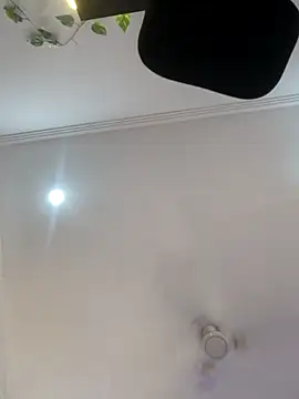 Archi-07 online show from 10-24-25, 08:13