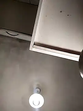 Bellatriz-horse online show from 02-08-26, 05:27