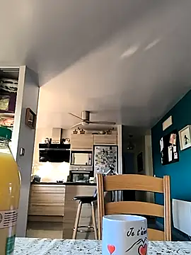 bogland33 online show from 11-22-25, 08:13