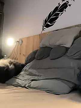 bogland33 online show from 01-09-26, 07:43