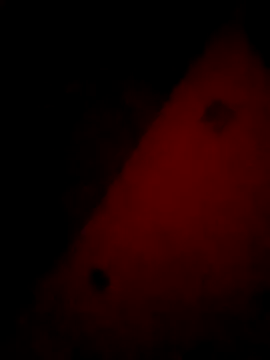 Mieto  online show from 04-17-26, 03:20