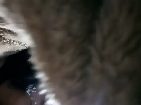 Elvishcassie  online show from 01-06-26, 10:14