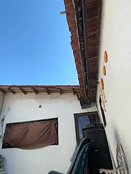 Leo bunny hot online show from 11-13-25, 07:18