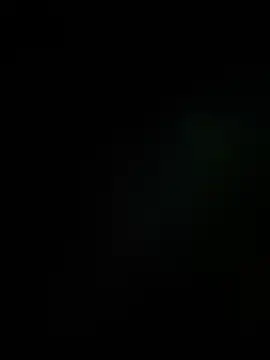 Leo bunny hot online show from 12-16-25, 10:47