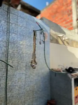 Snapshot of Leo_bunny_hot chatting on 02-03-26, 08:58 Leo bunny hot online show from 02-03-26, 08:58