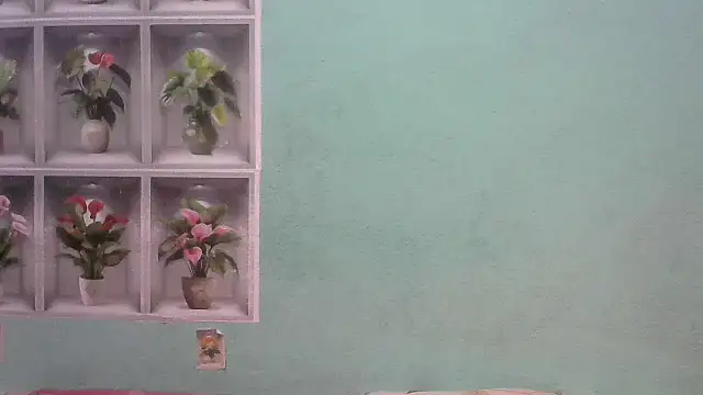 nanhi munni online show from 02-19-26, 01:46